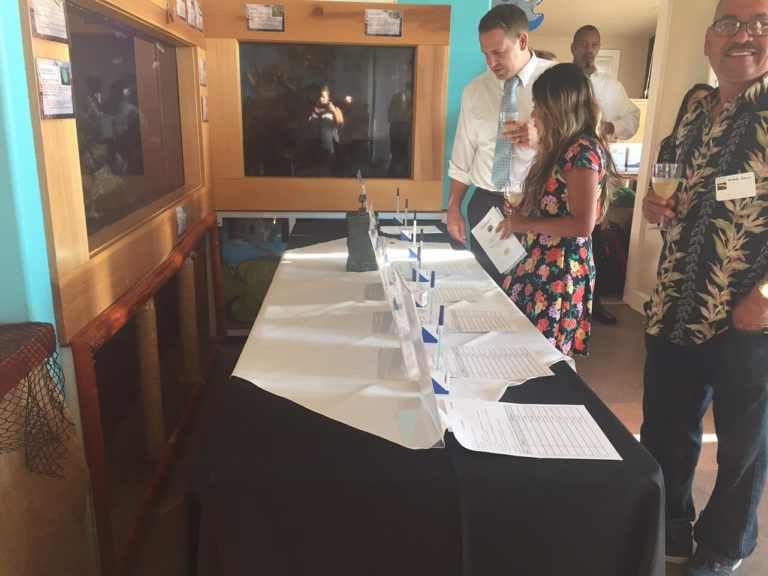 Silent Auction Magical Evening