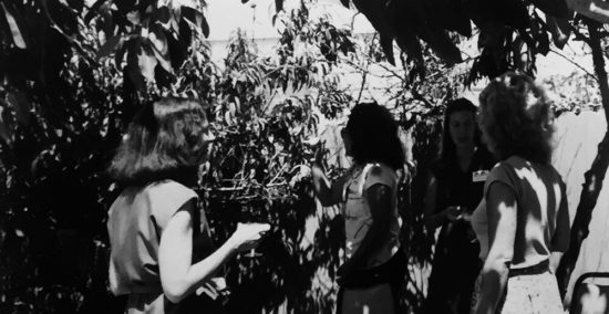 Shelter Open House 1980-1